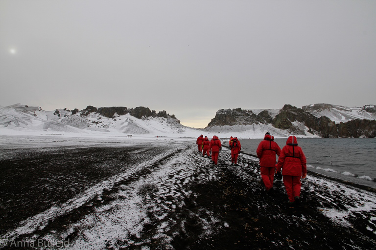 Antarctica walking