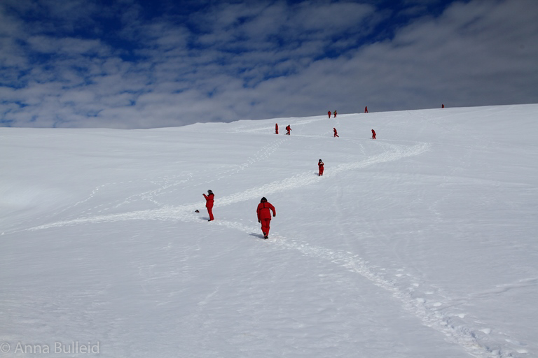 Antarctica walking