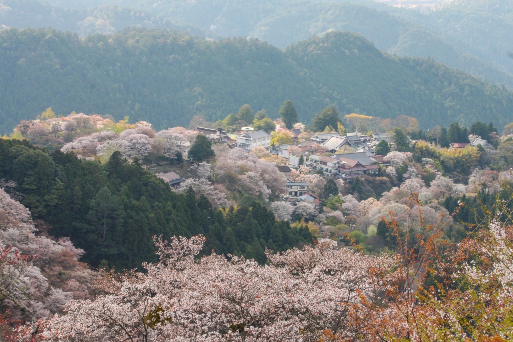 Best of: Japan in Spring 4