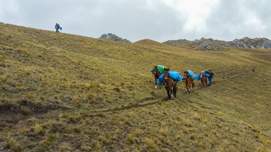 Peru Trekking Guide- More Than Just the Inca Trail 8
