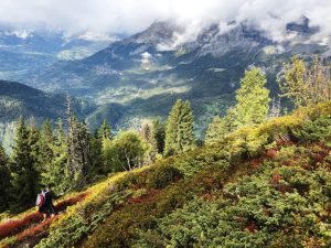 Exodus: Tour du Mont Blanc Hotel Trek 15 days from $5,249 13