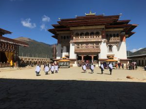 JOMOLHARI TREK & BLACK NECKED CRANE BUDDHIST FESTIVAL BHUTAN OCT/NOV 2023 Escorted by Mike Wood - SOLD OUT 11