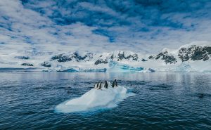Escorted Antarctica & Patagonia 07-20 Feb 2025 aboard Quark's Ultramarine 5