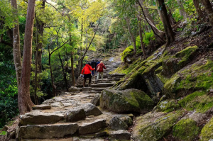 Japan: Walking the Kumano Kodo & Nakasendo Way 37