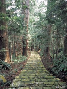 Japan: Walking the Kumano Kodo & Nakasendo Way 29