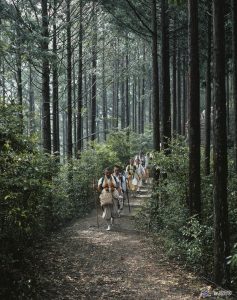 Japan: Walking the Kumano Kodo & Nakasendo Way 19