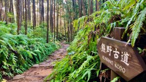 Japan: Walking the Kumano Kodo & Nakasendo Way 11