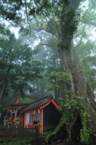 Japan: Walking the Kumano Kodo & Nakasendo Way 1
