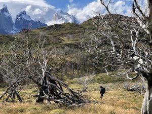 Escorted Highlights of Patagonia (can be combined with Antarctica) 26 Jan-07 Feb 2025 23